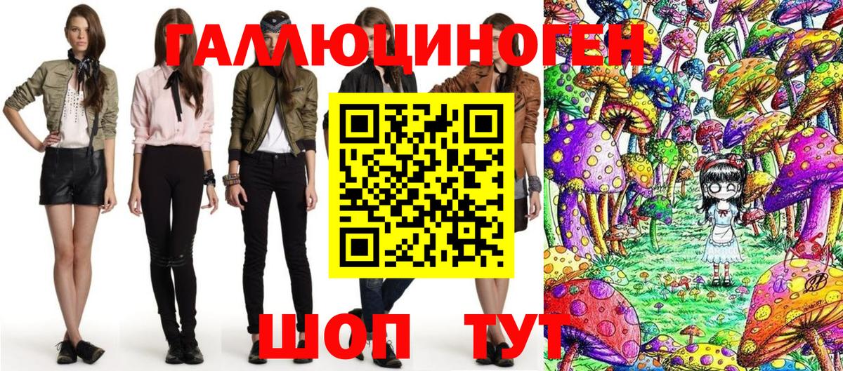 Галлюциногенные грибы Psilocybe Ковров