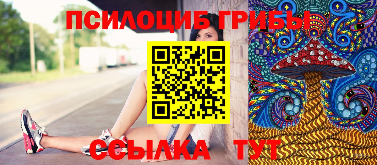 цены   Псилоцибиновые грибы ЛСД  Псилоцибиновые грибы Cubensis  Вход с VPN  Ковров 